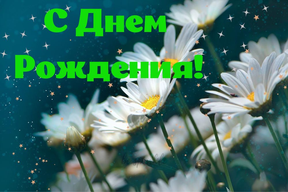 Ромашки и надпись с Днем Рождения