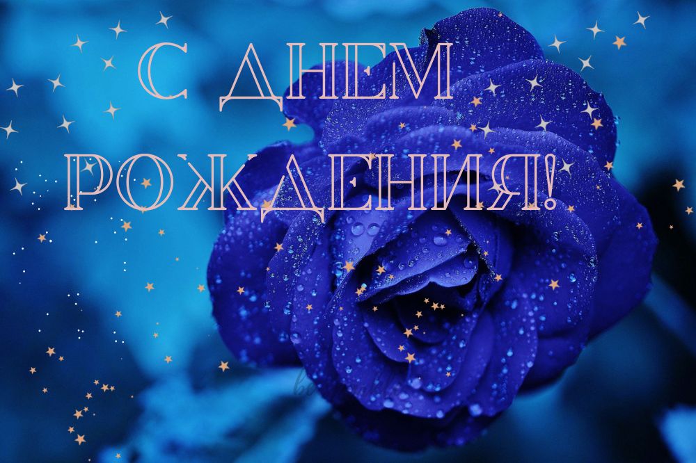 открытка на день рождение Синяя роза 
