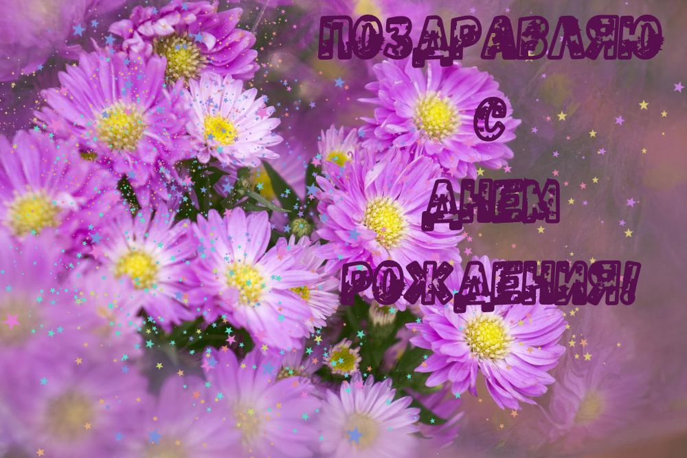 фиолетовые цветы с Днем Рождения