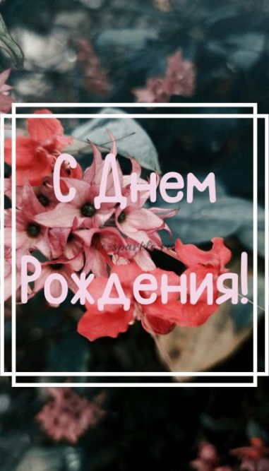 стильная открытка на День Рождения с красным цветком