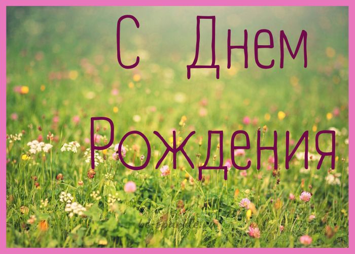 С Днем Рождения луговые цветы