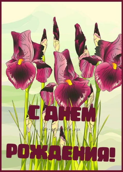 открытка с днем рождения с фиолетовыми цветами без пожеланий