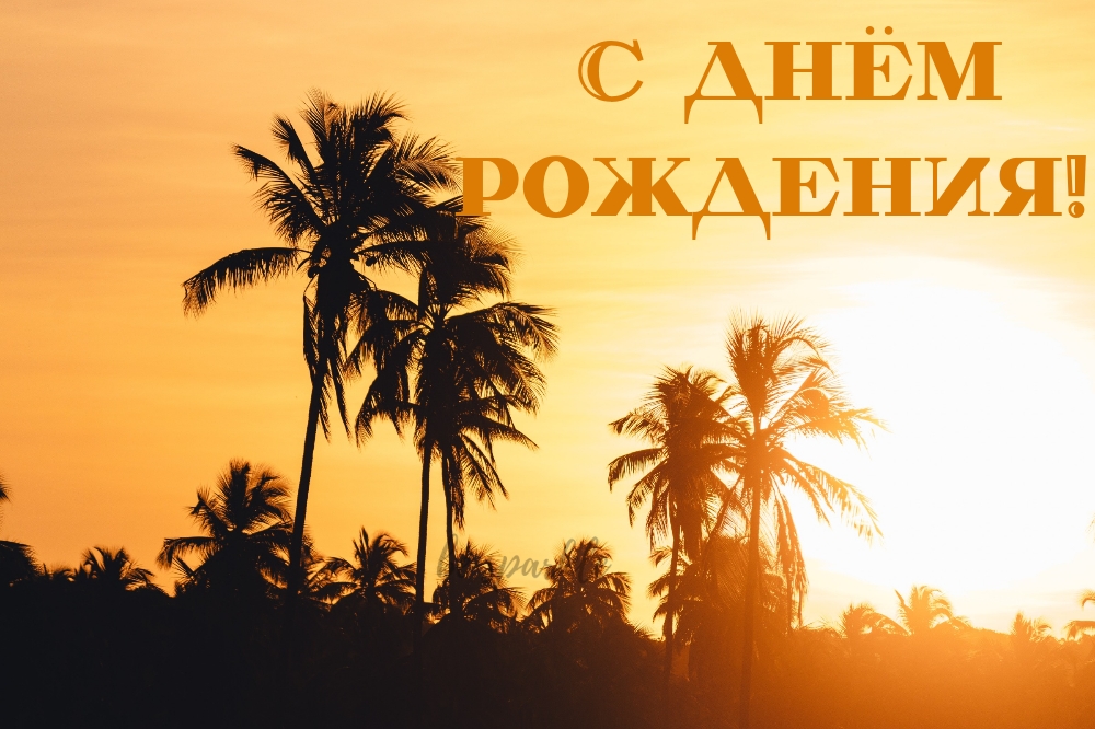 Открытка к Дню рождения с пальмами