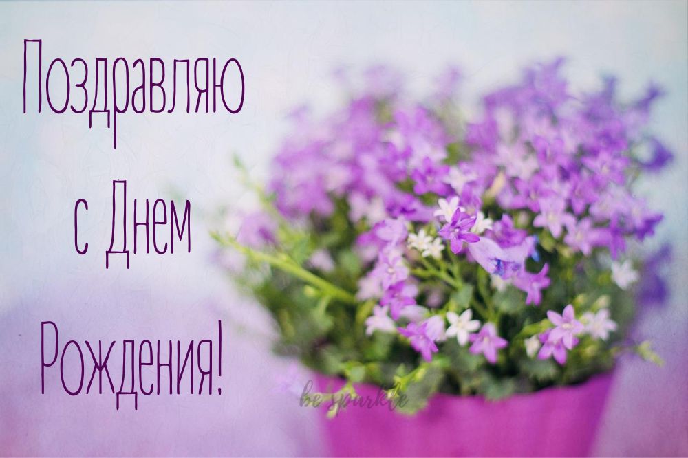 открытка с Днем Рождения с фиолетовыми цветами