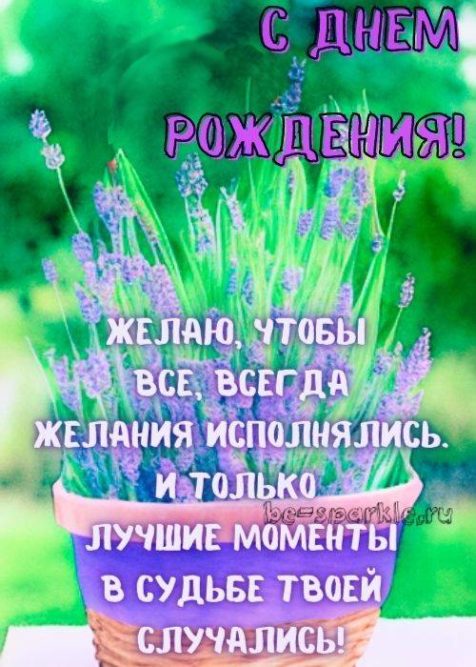 открытка с корзиной лаванды на день рождения