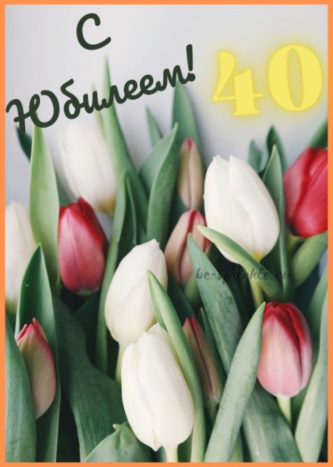 С юбилеем 40 лет открытка с тюльпанами