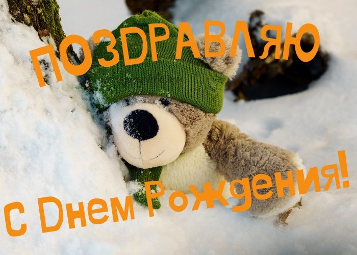 С днём рождения открытка медвежонок в снегу