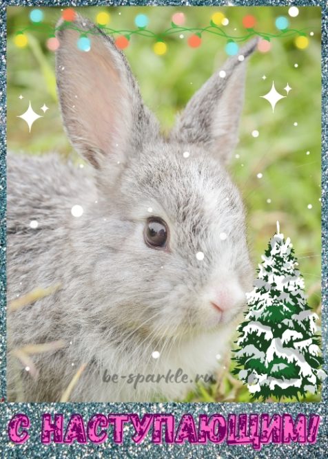Год кролика С наступающим Новым годом