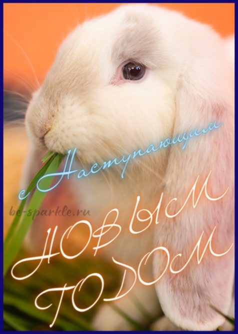 С наступающим годом открытка с кроликом