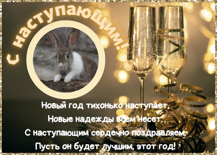 Открытка с кроликом С наступающим Новым годом