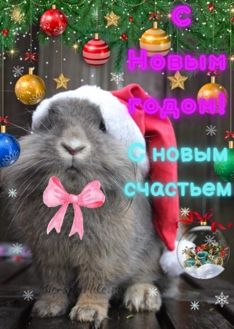 Кролик С новым годом с новым счастьем