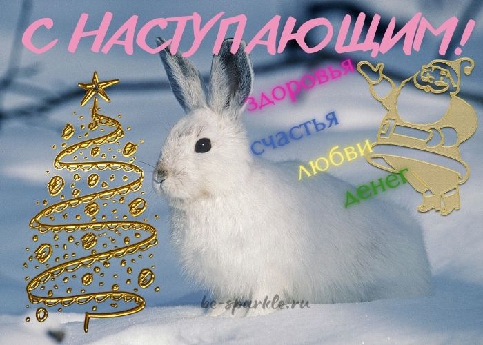 открытка с кроликом на снегу с наступающим 