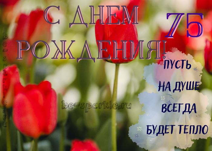 красивая открытка с тюльпанами на день рождения 75 лет
