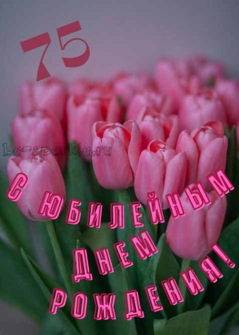 с юбилейным днем рождения 75 лет открытка с тюльпанами