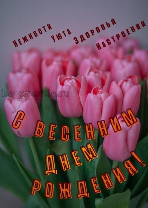 с весенним днем рождения открытка с розовыми тюльпанами