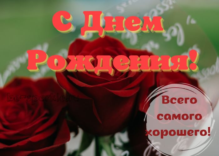 красные розы открытка на день рождения женщине