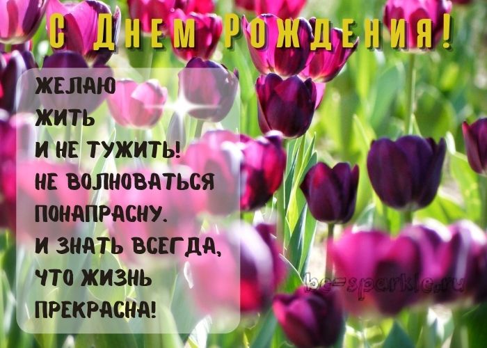 весной с днем рождения открытка желаю жить и не тужить