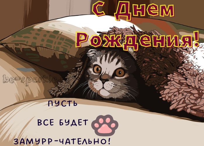 нарисованная картинка с котиком на день рождения