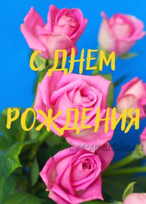 с днем рождения открытка без пожеланий розовые розы на голубом фоне