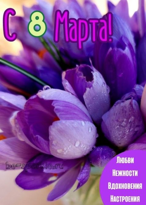 8 марта фиолетовые цветы