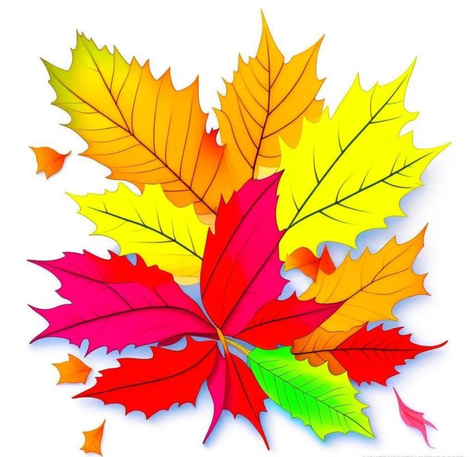 картинка листья яркие осенние на белом фоне