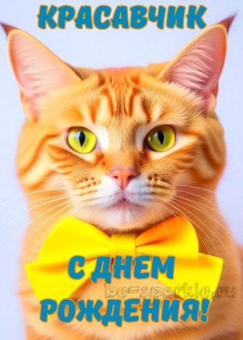 с днем рождения красавчик открытка мужчине с котом в желтой бабочке