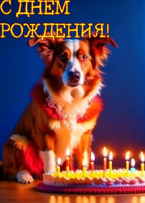Открытка с днем рождения собачка с тортом и свечками