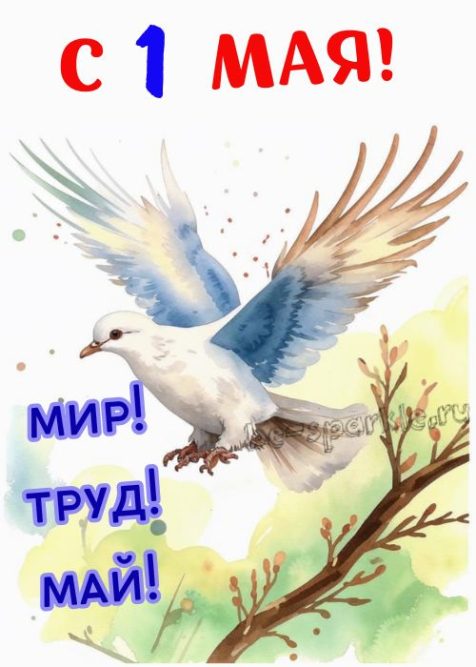 с 1 мая мир труд май открытка с голубем