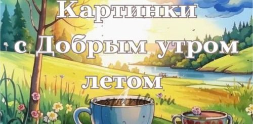 картинки с добрым утром летом