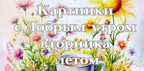 Картинки с Добрым утром вторника летом