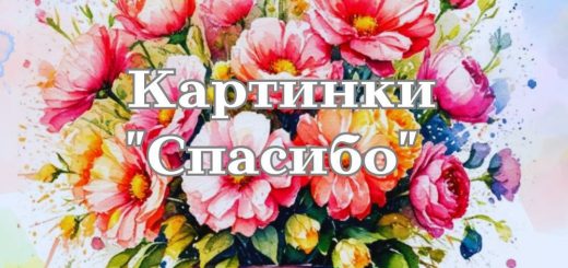 картинки спасибо