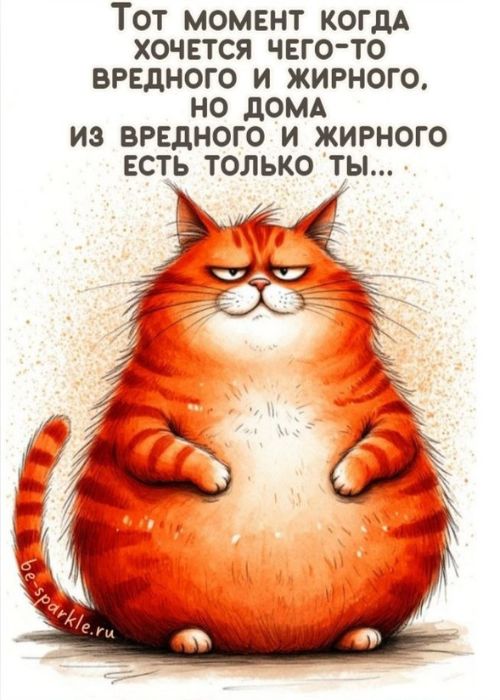 Тот момент когда хочется чего-то вредного и жирного но дома из вредного и жирного есть только ты